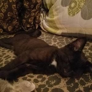 Meet your Posher, Annmarie